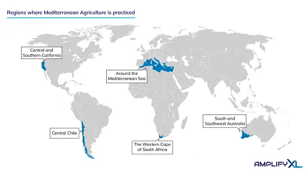 Regions Where Mediterranean Agriculture Is Practiced 