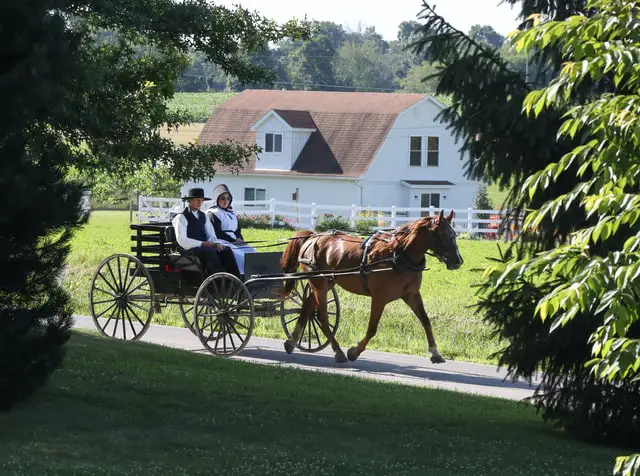 How Do Amish Make Money