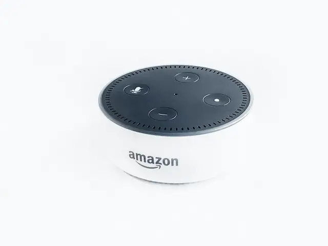 Amazon Echo Target Market