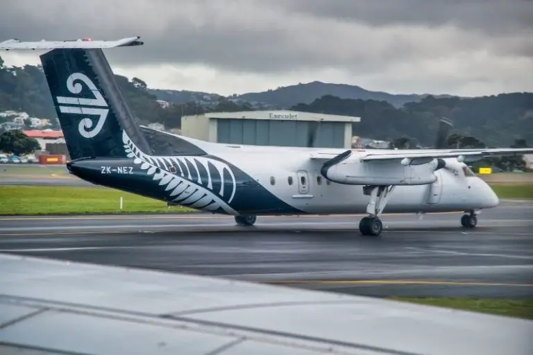 Air New Zealand Target Market