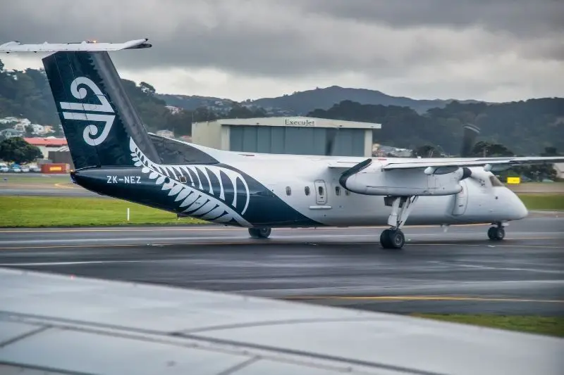 Air New Zealand Target Market