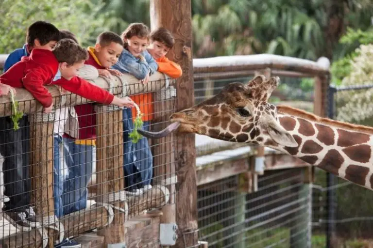 How Do Zoos Make Money