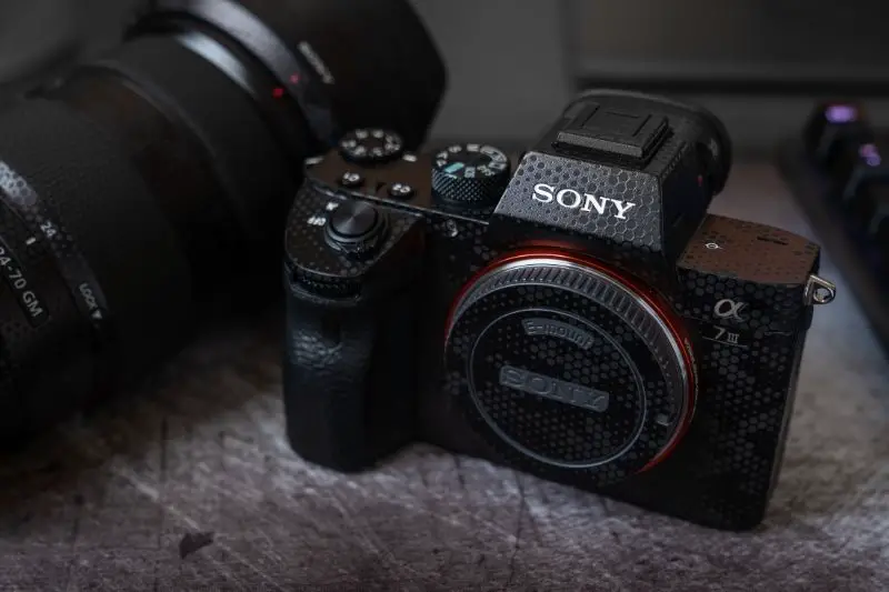 Sony Target Market