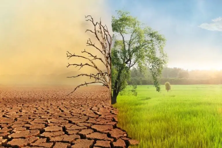 Target Audience for Climate Change