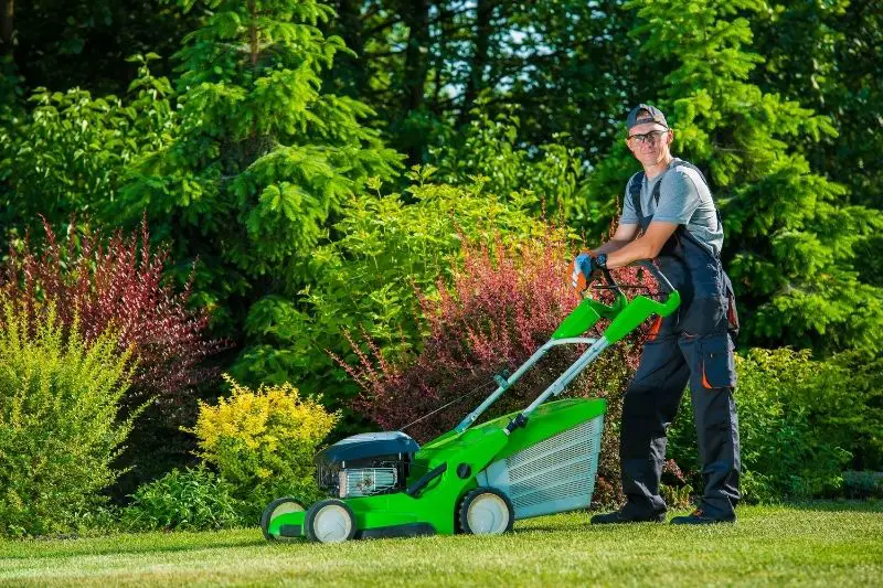 Target Market for Lawn Care Business