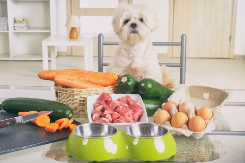 Target Market for All Natural Pet Food 1 AMPLIFY XL