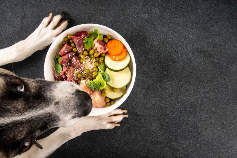 Target Market for All Natural Pet Food 2 AMPLIFY XL