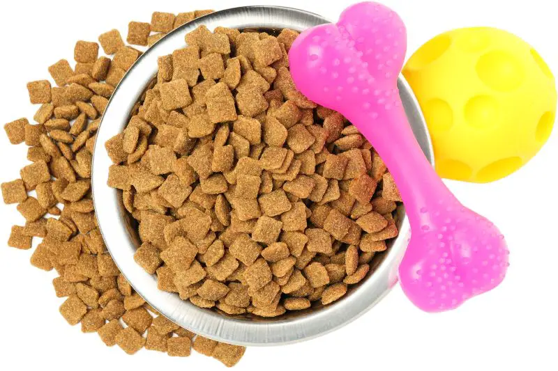 Target Market for All Natural Pet Food 3 AMPLIFY XL