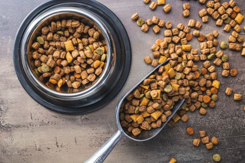 Target Market for All Natural Pet Food 4 AMPLIFY XL