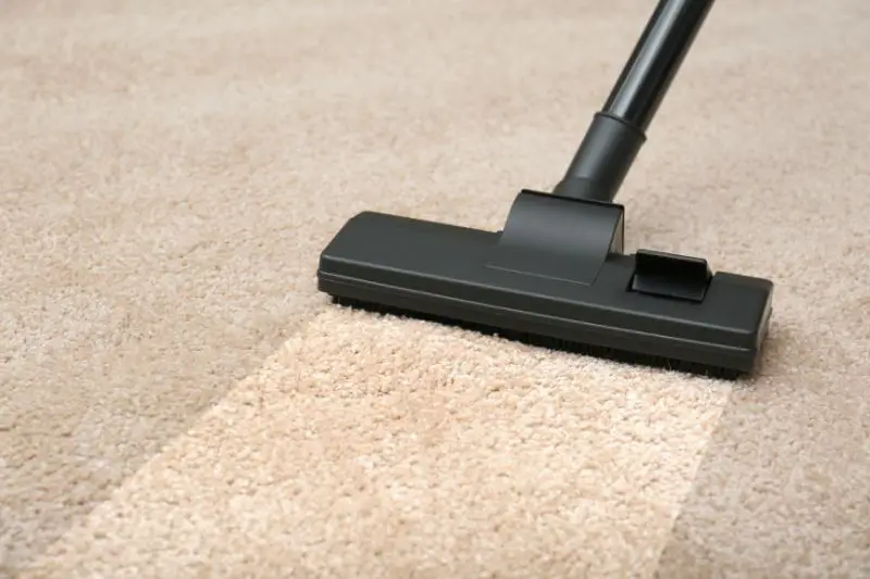 Target Market for Carpet Cleaning 1 AMPLIFY XL