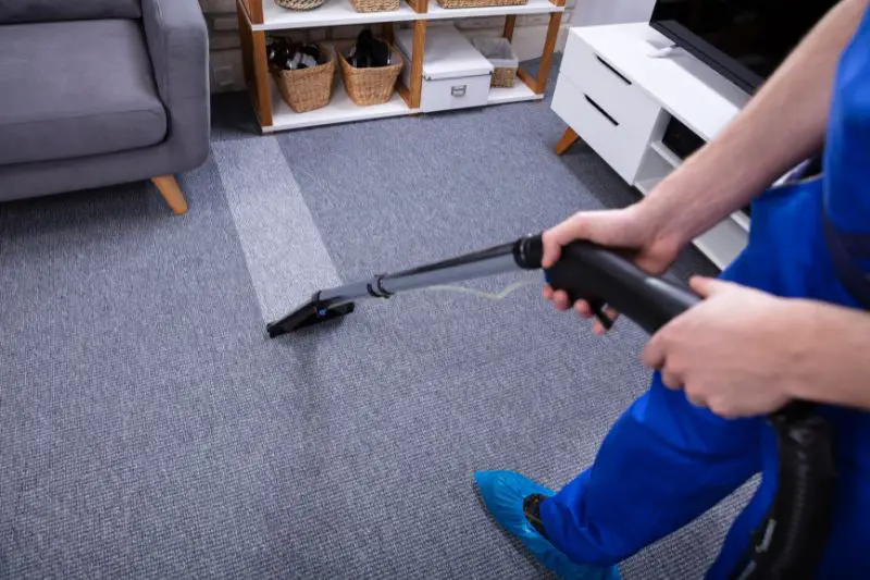 Target Market for Carpet Cleaning 2 AMPLIFY XL