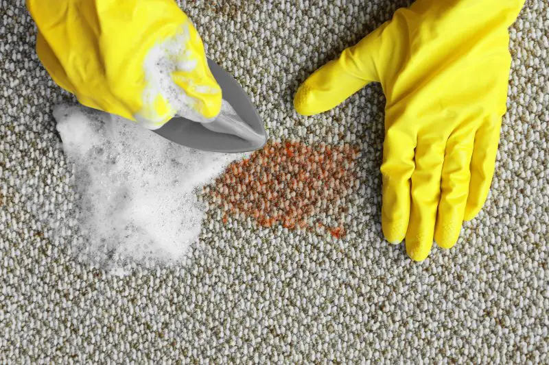 Target Market for Carpet Cleaning 3 AMPLIFY XL