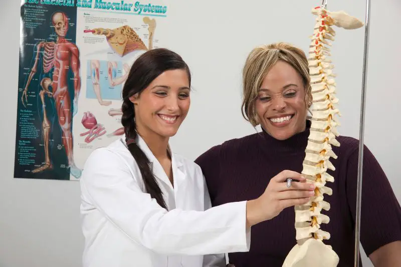 Target Market for Chiropractors 1 AMPLIFY XL