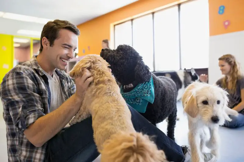 Target Market for Dog Daycare 4 AMPLIFY XL