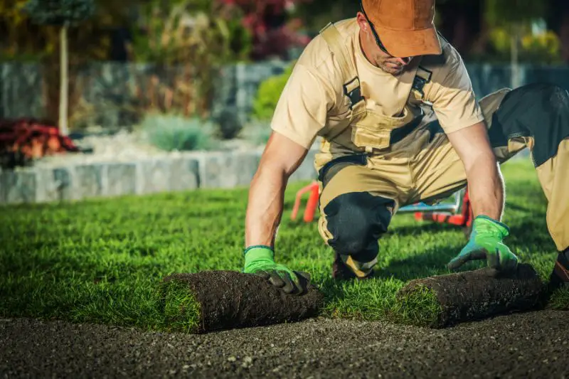 Target Market for Landscaping 1 AMPLIFY XL
