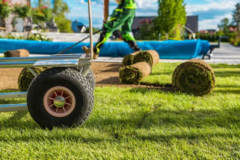 Target Market for Landscaping 2 AMPLIFY XL
