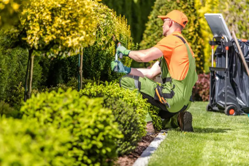 Target Market for Landscaping 4 AMPLIFY XL