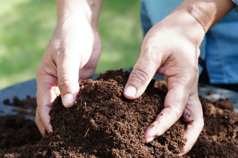 Target Market for Organic Fertilizers 3 AMPLIFY XL