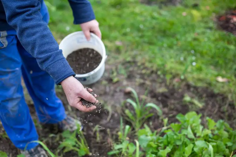 Target Market for Organic Fertilizers 5 AMPLIFY XL