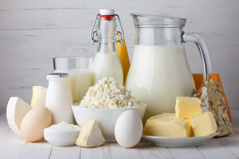 Target Market for Organic Products 3 AMPLIFY XL