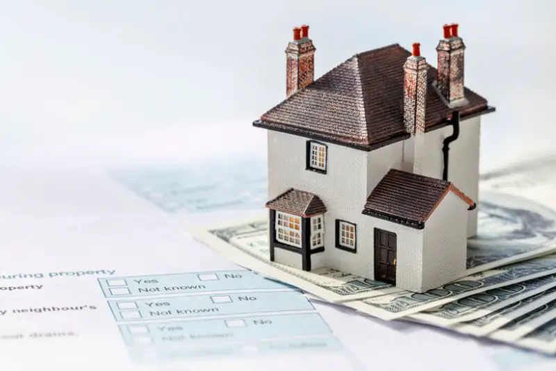 Target Market for Real Estate Investors 4 AMPLIFY XL