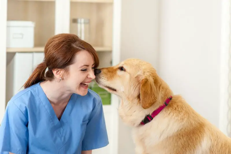 Target Market for Veterinarians 1 AMPLIFY XL